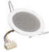 DL 10 - 8 Ohm image