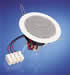 DL 8 - 100V image
