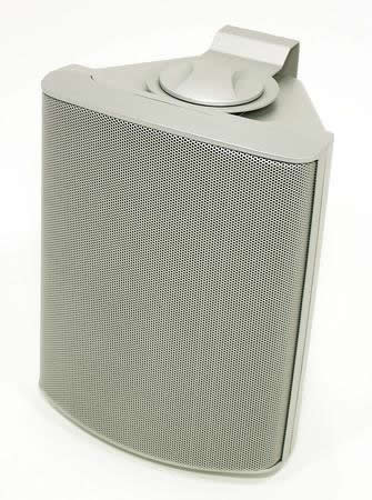 Visaton WB13 - 100V / 8 Ohm 2 Way Silver Speaker.