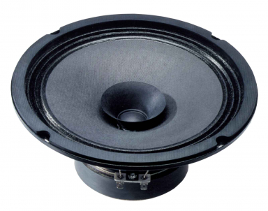 BG 20 - 8 Ohm