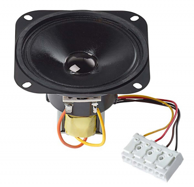 R10 SC 100 V
