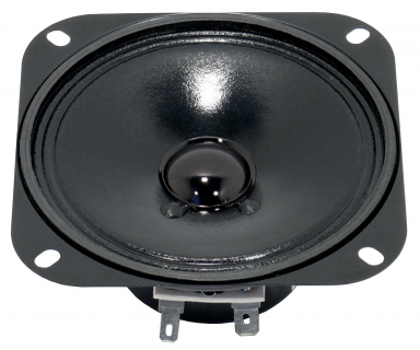 R 10 SC Special - 8 Ohm