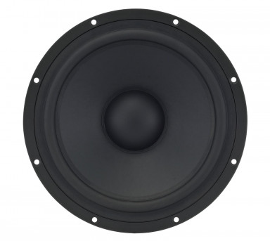TIW 300 - 8 Ohm