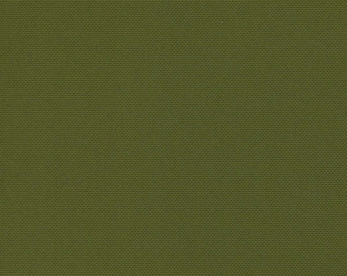Swamp Green 52
