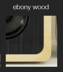 Audel front panel finish - ebony wood