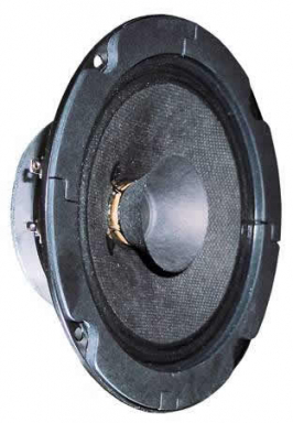 BG 13 P - 8 Ohm
