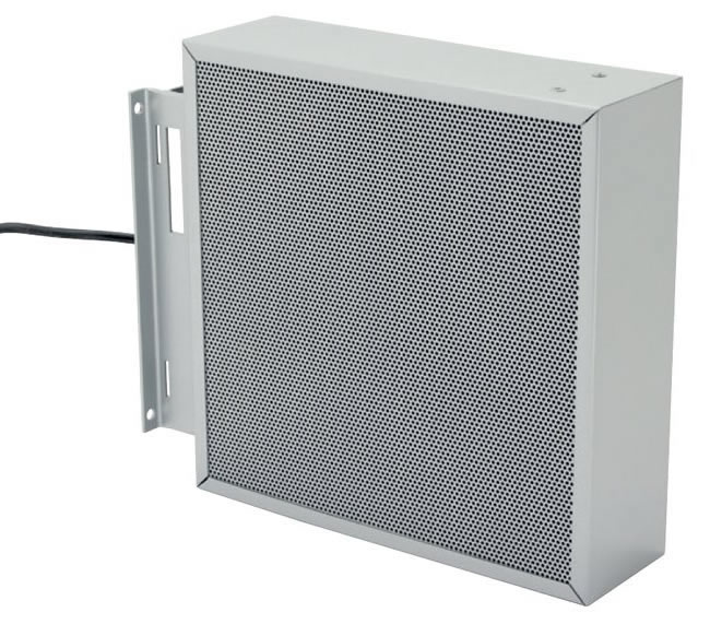 Visaton DPS 26 100 Volt Dipole flat-panel loudspeaker.