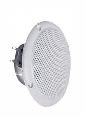 FR 10 WP White - 4 Ohm