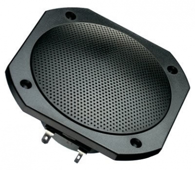 FRS 10 WP Black - 4 Ohm