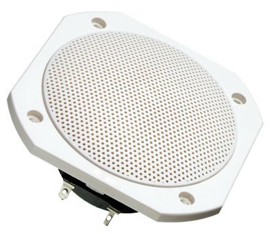 Visaton FRS10WP -  8 Ohm Saltwater Resistant Full Range Speaker White.