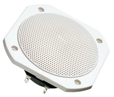 Visaton FRS10WP - 4 Ohm Saltwater resistant Full Range Speaker.