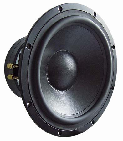 Visaton TIW300 - 8 Ohm High End Woofer.