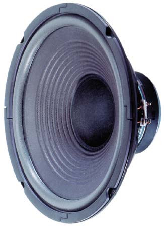 Visaton W250 - 8 Ohm Woofer.