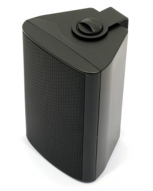 WB 10 - 100V - 8 Ohm Black