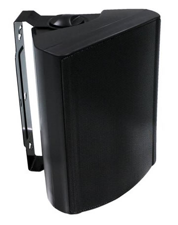 Visaton WB16 - 100V / 8 Ohm Black compact speaker.