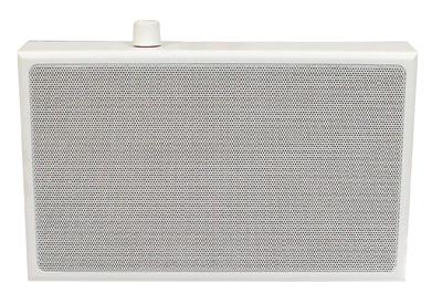 Visaton WL13PR - 100V Wall Mounted Speaker.