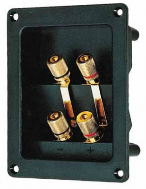 Speaker Terminal Bi-Wire Rectangular