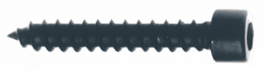 Screws 5 x 30mm Hex Socket